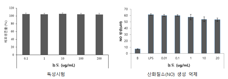 세포독성 및 산화질소(NO) 생성 억제