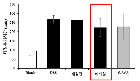 대장염 유발 쥐의 대장 통과 시간