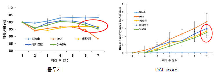 체중 및 DAI score